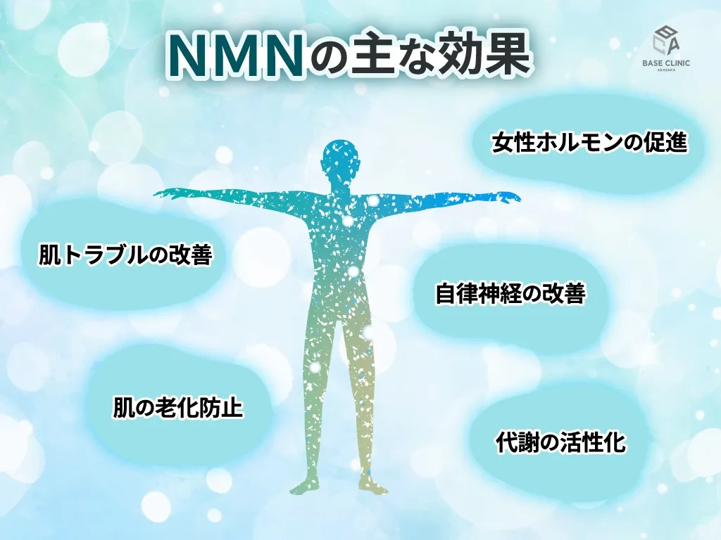 NMN効果