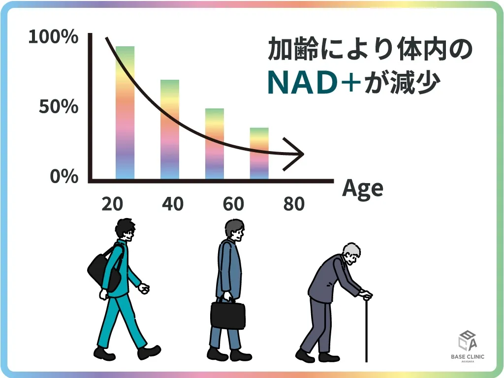 加齢により減少するNAD