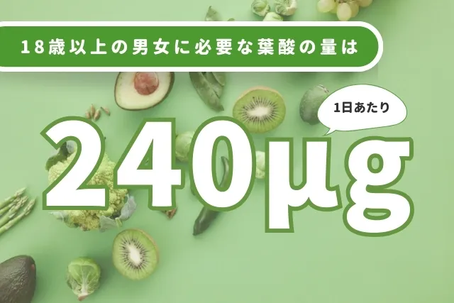 1日の摂取推奨量は18歳以上の男女で240μg！