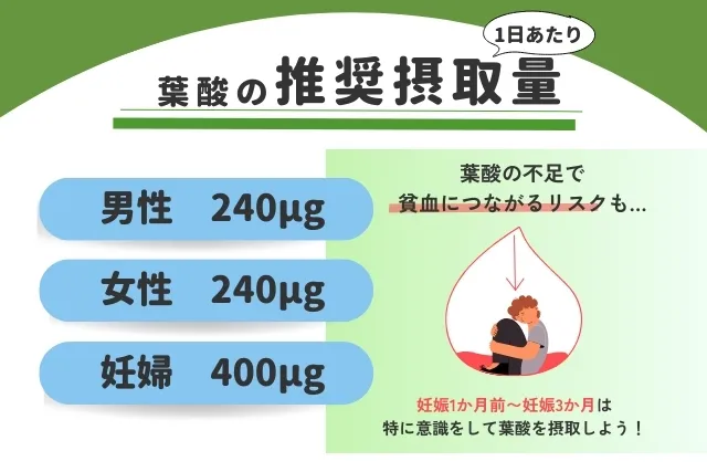 妊娠初期はより多くの葉酸摂取が必要