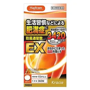 漢方防風通聖散料エキスEＸ錠