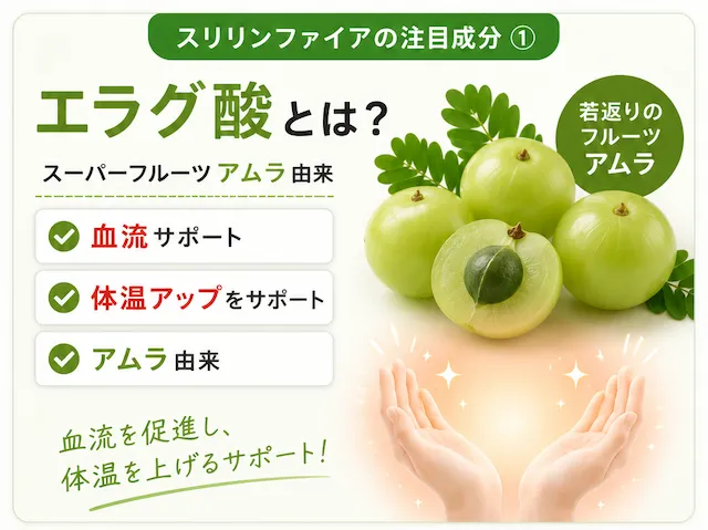 エラグ酸