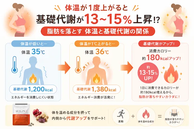 脂肪を落とす体温と基礎代謝の関係