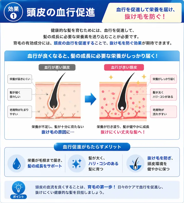 頭皮の血行促進