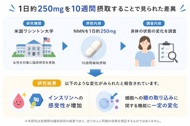 nmn1日約250mgを10週間摂取することで見られた実験