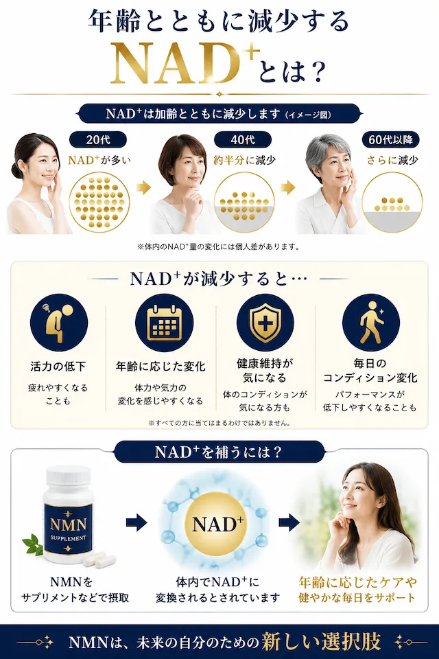 NAD⁺とNMN