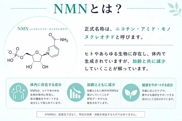 nmnとは