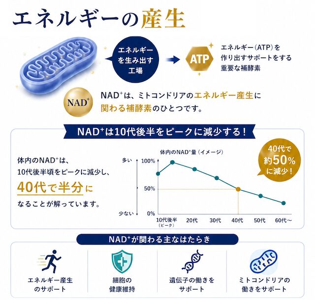 エネルギー