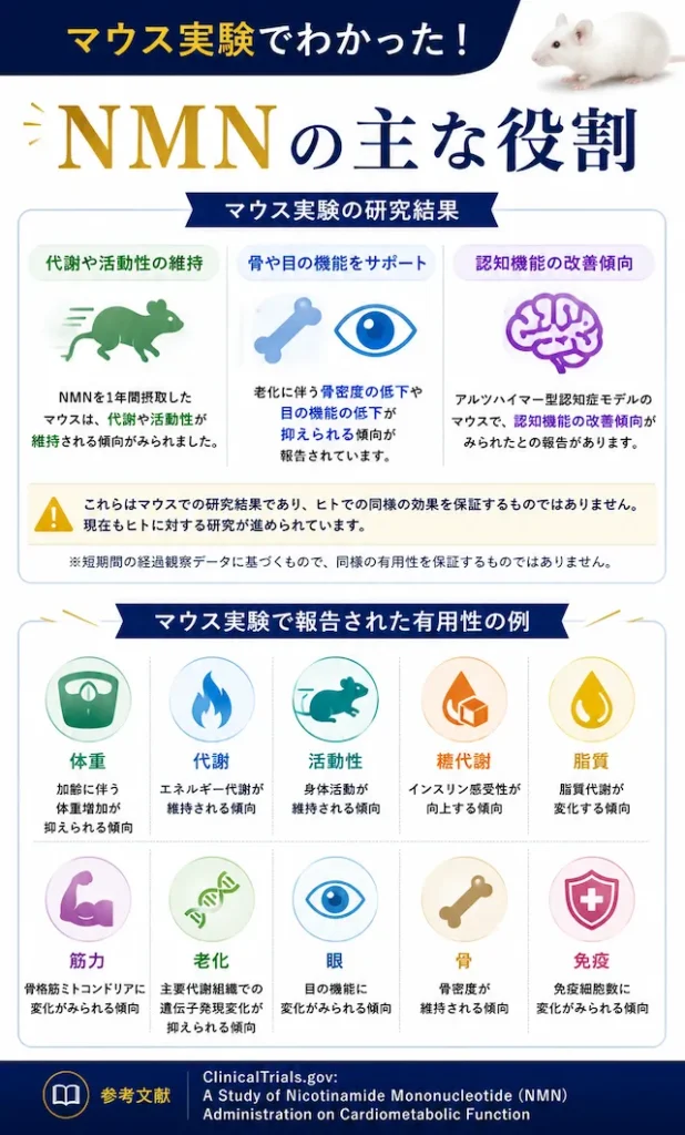 マウス実験