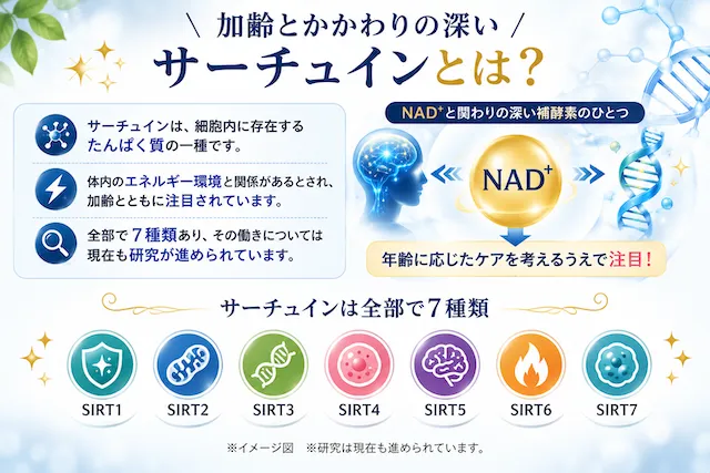 加齢とかかわりの深いサーチュインとは？