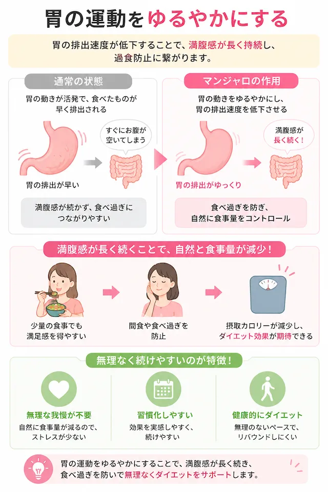 胃の運動をゆるやかにする